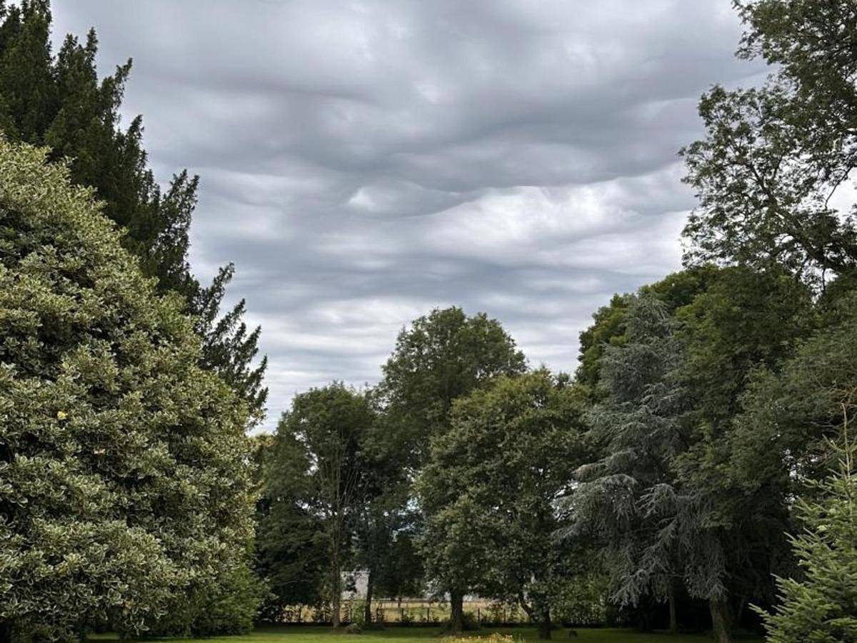 Holiday Home in La Chapelle-d'Andaine, Parc naturel régional Normandie-Maine