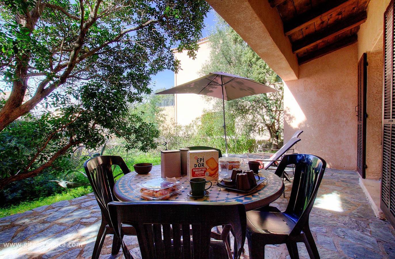 La Mimosa in Lumio, Région de Calvi