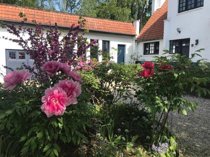 Location de vacances pour 3 personnes, avec terrasse à Zaventem - 4