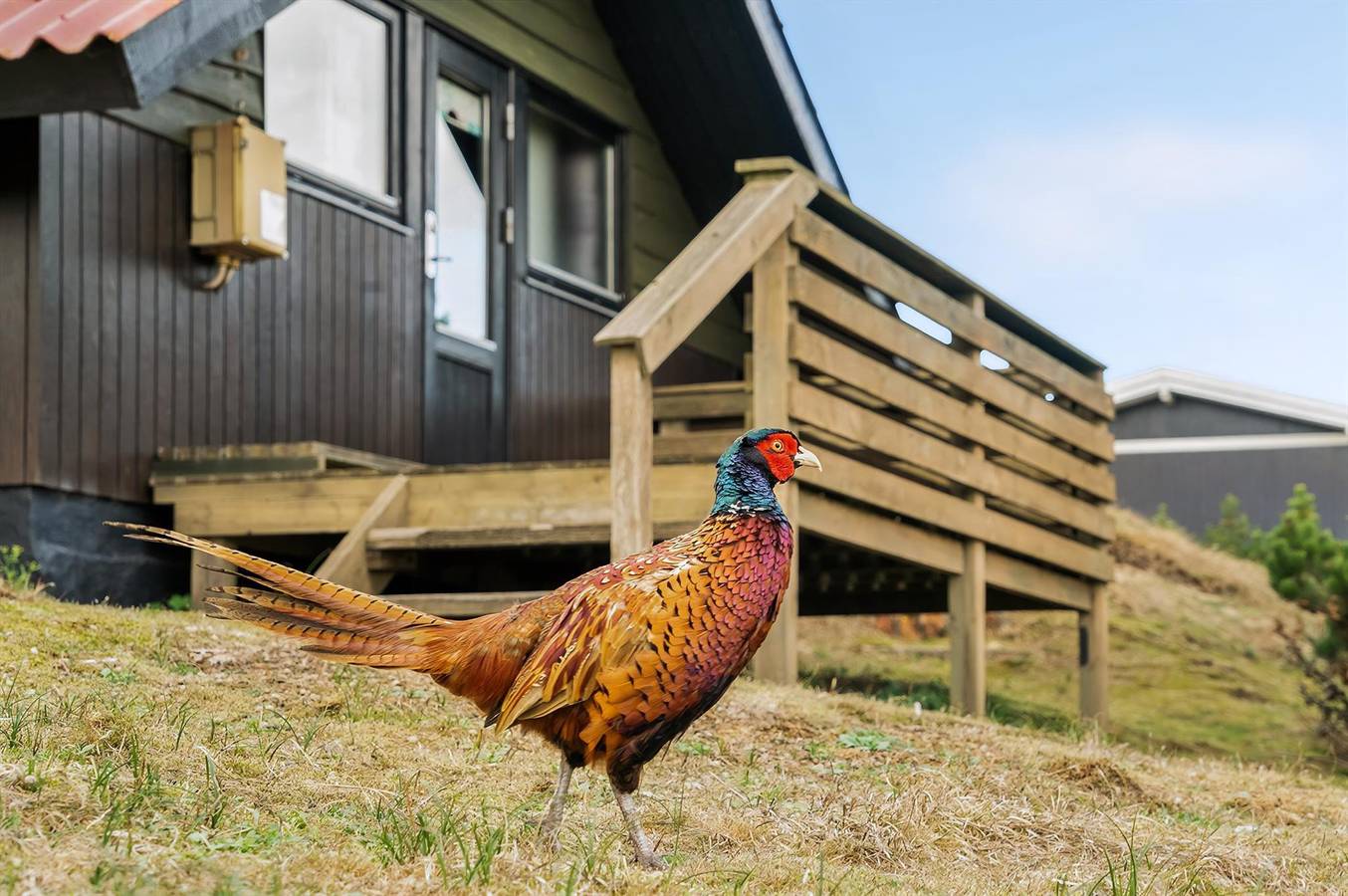 Nice home in Fanø w/ 2 Bedrooms and Wifi in Rindby, Fanø