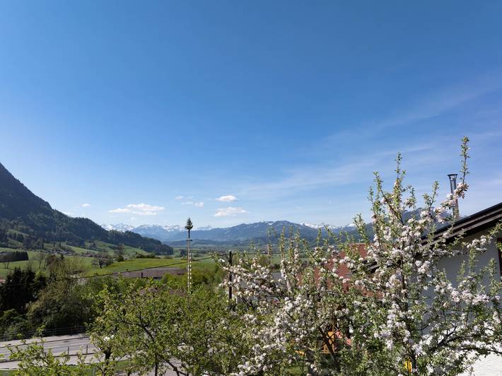 Ferienwohnung für 3 Personen, mit Terrasse und Garten in Rettenberg - 2