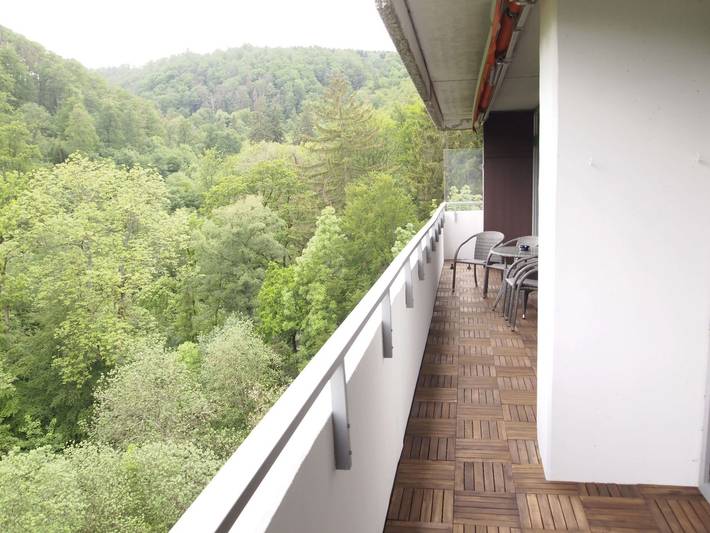 Ferienwohnung für 4 Personen, mit Balkon und Pool sowie Sauna in Bad Harzburg - 2