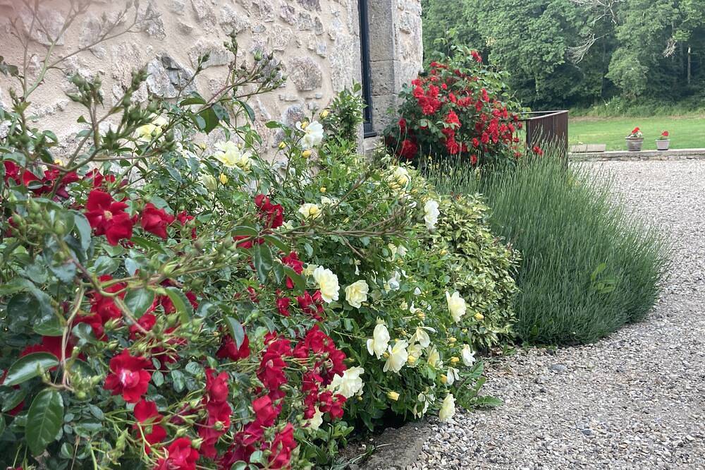 Gîte in the middle of nature with river and wood views in the Morvan region of France in Montigny-Saint-Barthélemy, Parque natural de Morvan