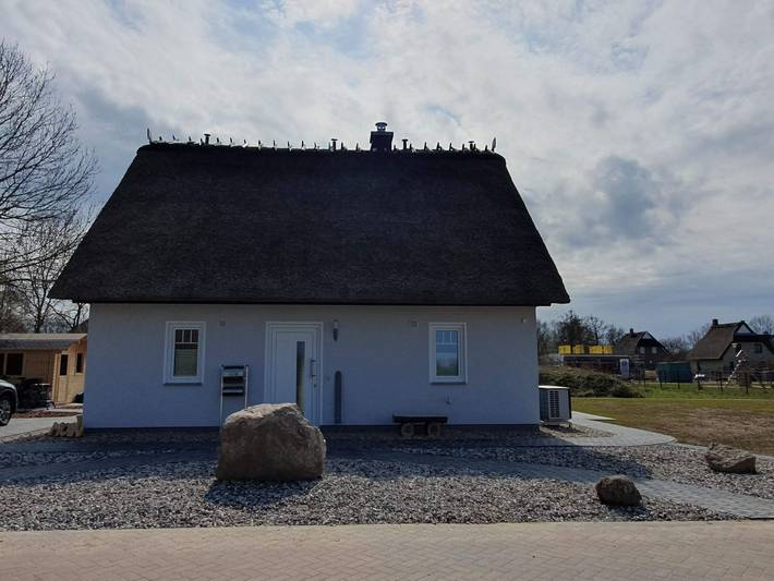 Ferienhaus für 6 Personen, mit Garten und Sauna in Poseritz - 4