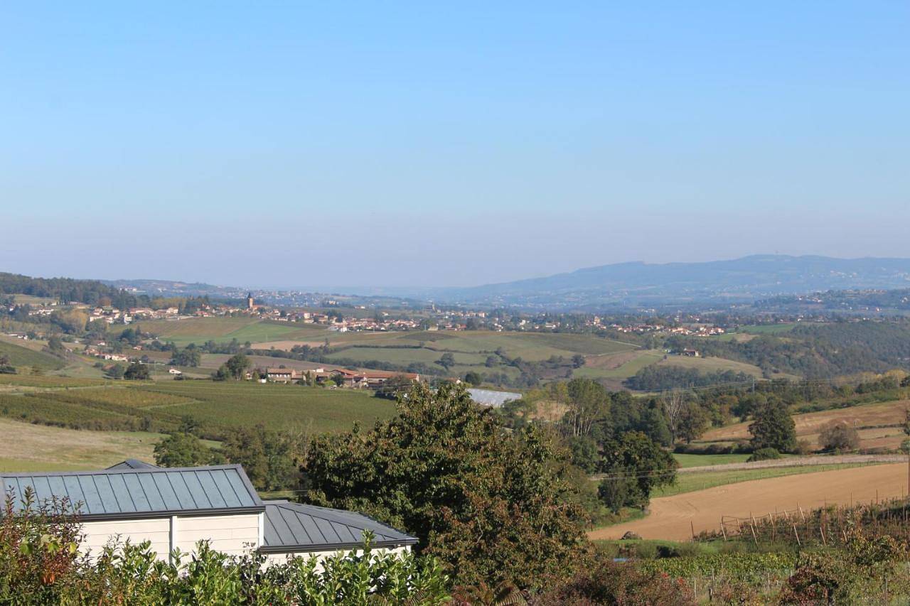 Le clos du popey in Saint-Romain-de-Popey, Beaujolais