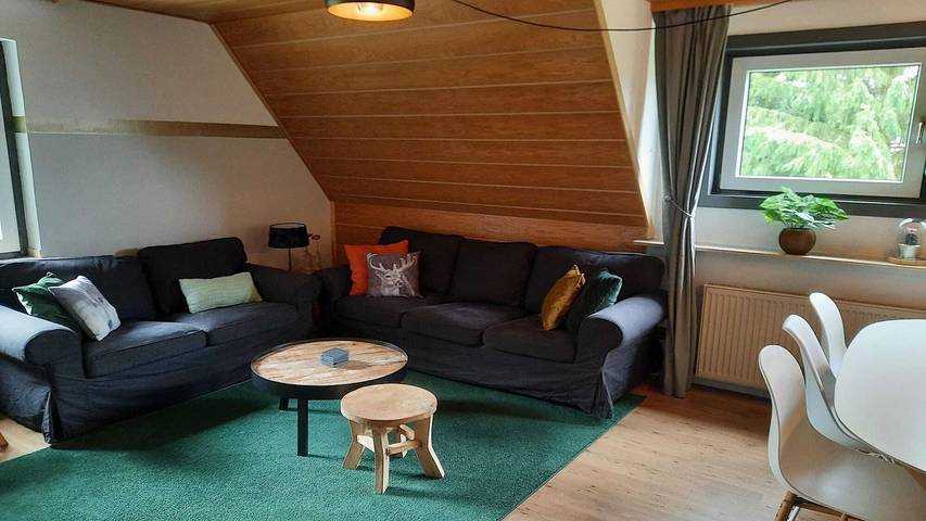 Ferienwohnung für 9 Personen, mit Garten, mit Haustier in Willingen - 2