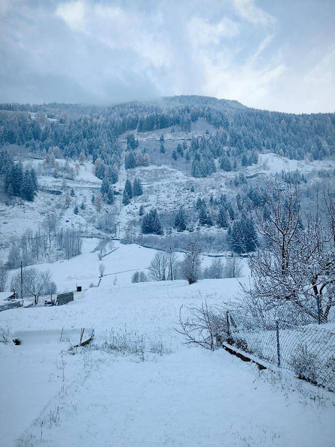 Chambre d’hôte pour 3 personnes, avec vue, animaux acceptés dans Région de Grisons - 2
