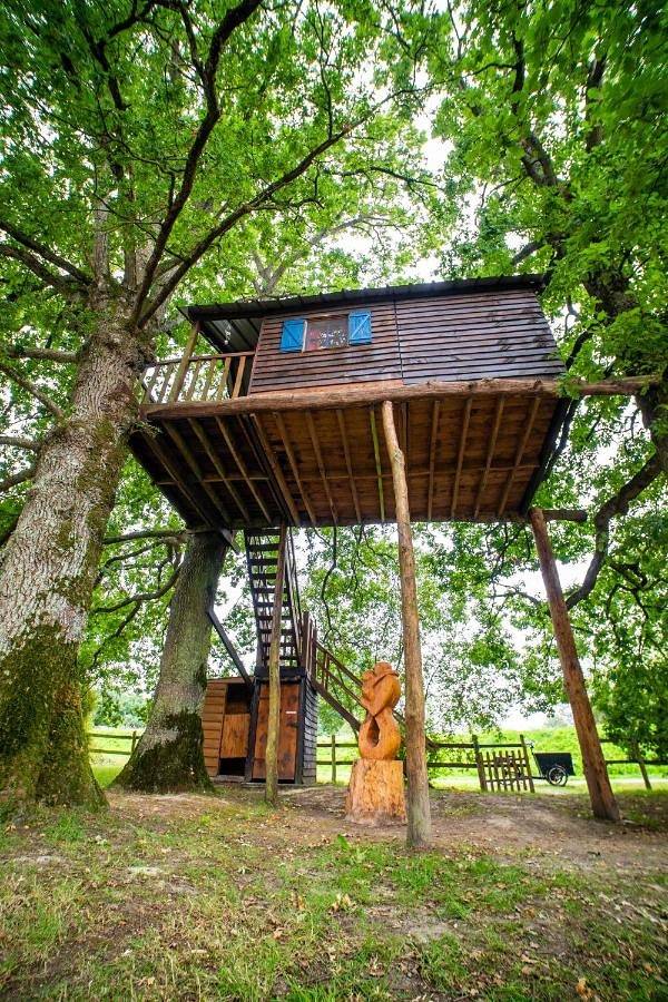 Mobil home pour 4 personnes, avec Terrasse et Jardin