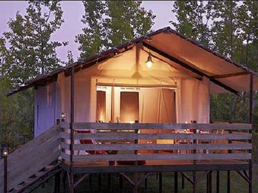 Flower Camping Les Ilates - Safarizelt 4 personen - Lodge-Hütte auf Stelzen Standard 34m² (2 Zimmer), davon überdachte Terrasse 11m² - ohne Sanitäranlagen | 4 Personen in Loix, Ile de Re