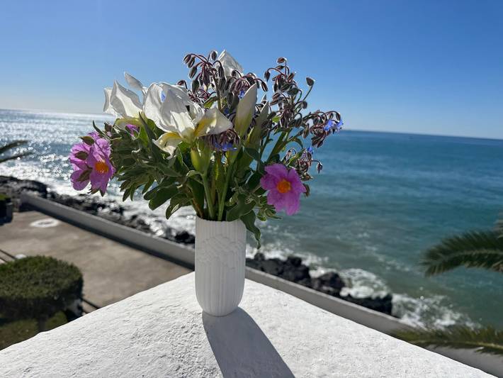 Apartamento para 4 personas, con Balcón además de Jardín y Vistas al lago en Costa del Garraf