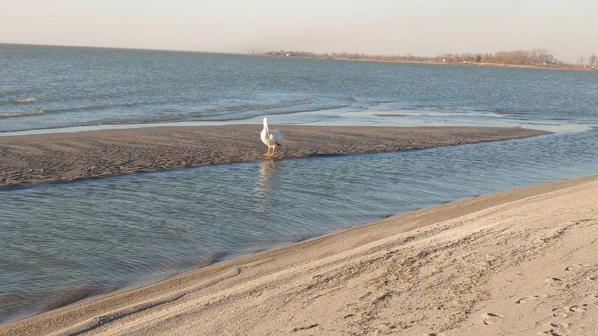 Chalet pour 10 personnes, avec balcon et sauna dans Canada - 4
