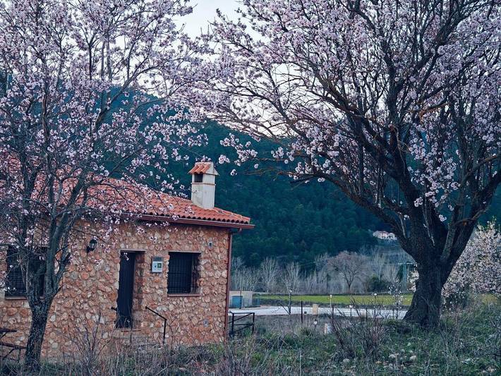 Casa rural para 10 personas, con piscina además de jardín y vistas, Se admiten mascotas en Sierras del Segura - 3