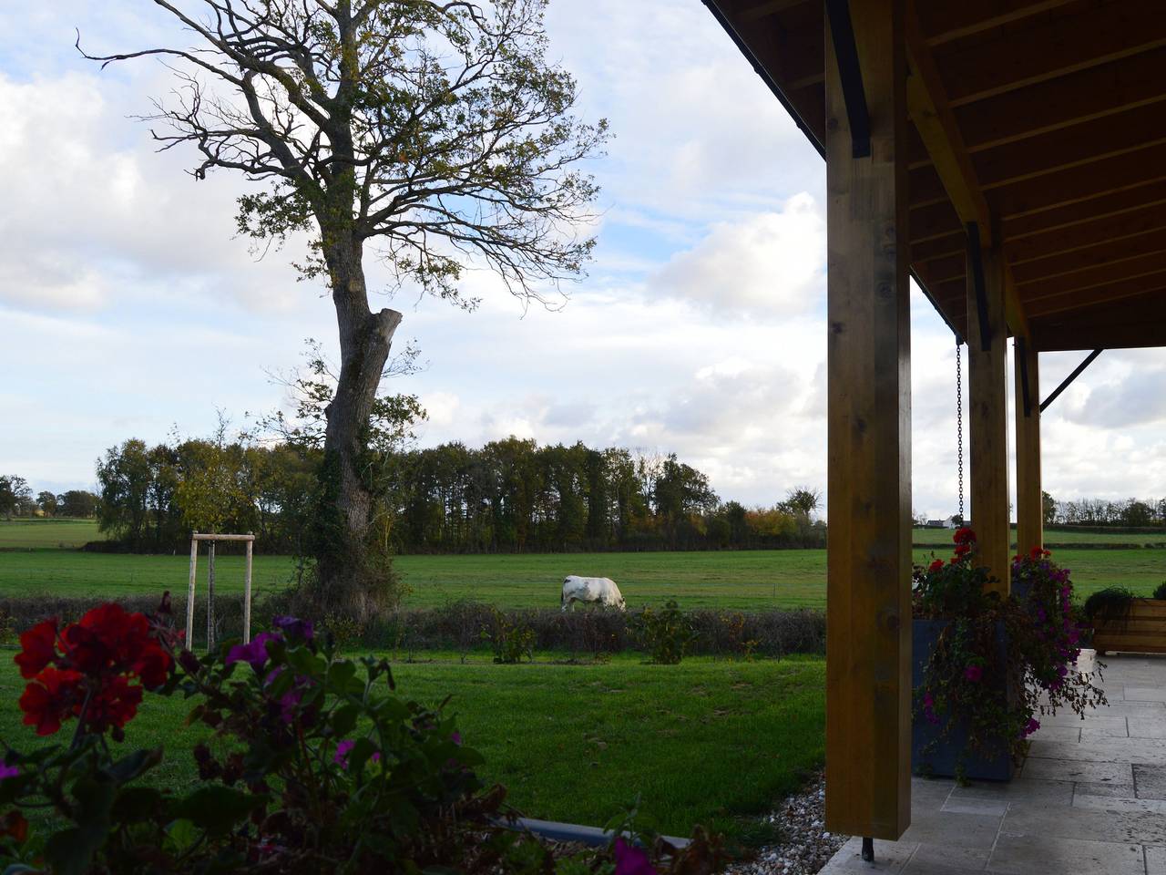 Casa ecológica con jardín privado cerca de base náutica, accesible para sillas de ruedas, mascotas permitidas in Pouligny-Saint-Martin, Región de La Châtre