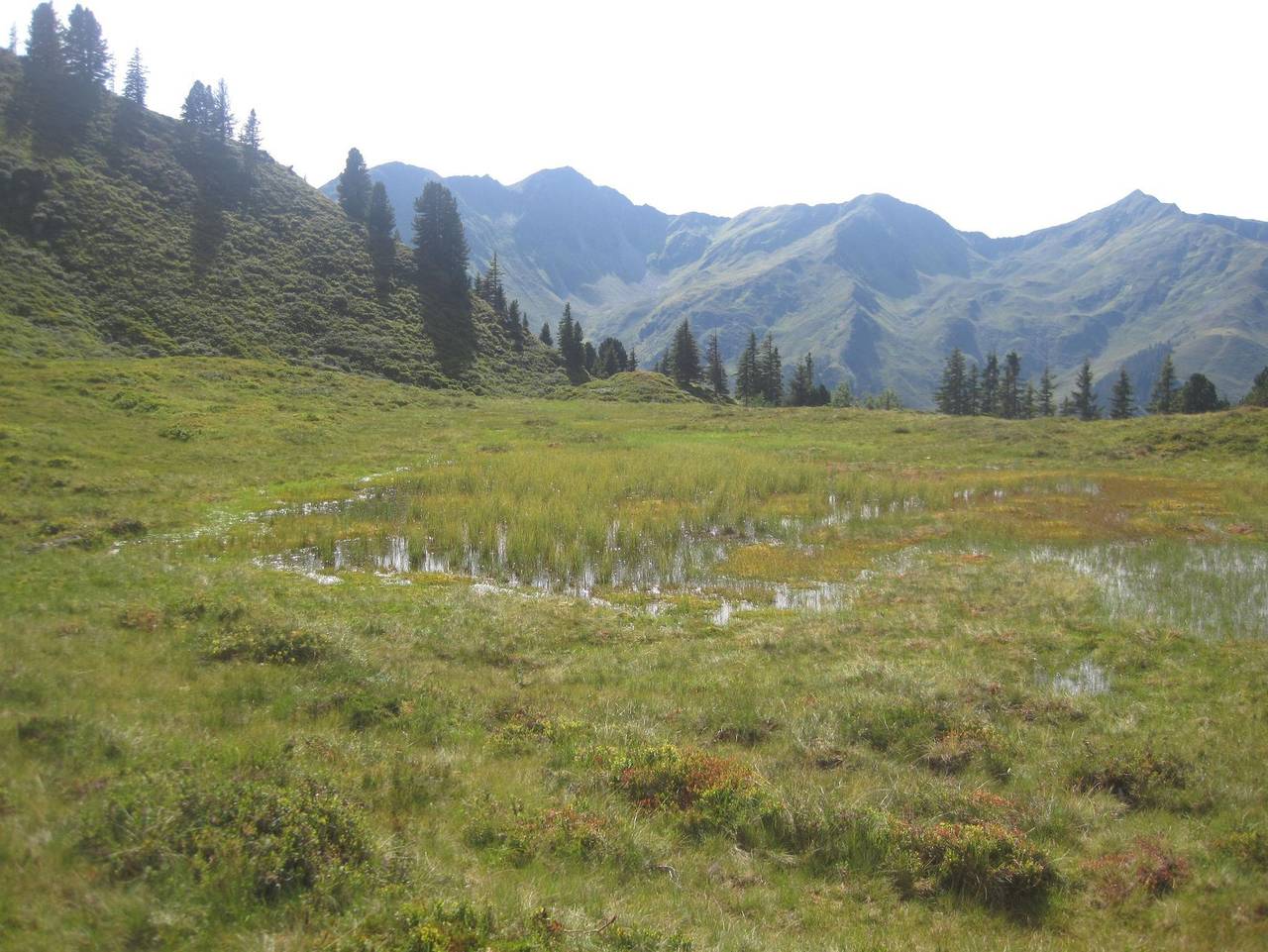 Ganze Ferienwohnung, Appartements Bodenland - Appartement I 1 in Wildschönau, Kaisergebirge