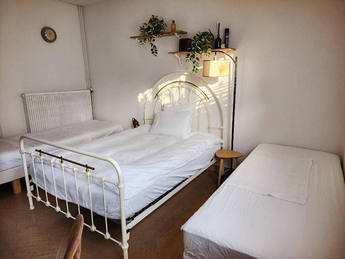 Double Room with Terrace in Chevilly-Larue, Val-de-Marne