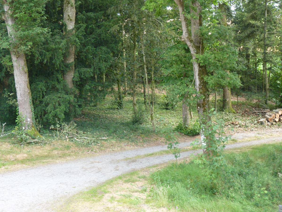 Chambre d’hôte pour 2 personnes avec jardin in Comblessac, Région de Redon