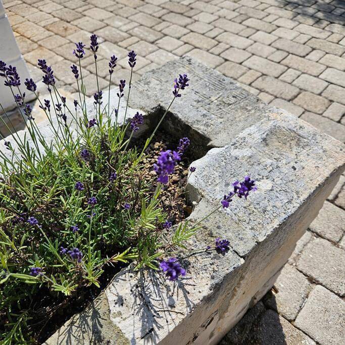 Location de vacances pour 4 personnes, avec jardin à Antonelli - 4