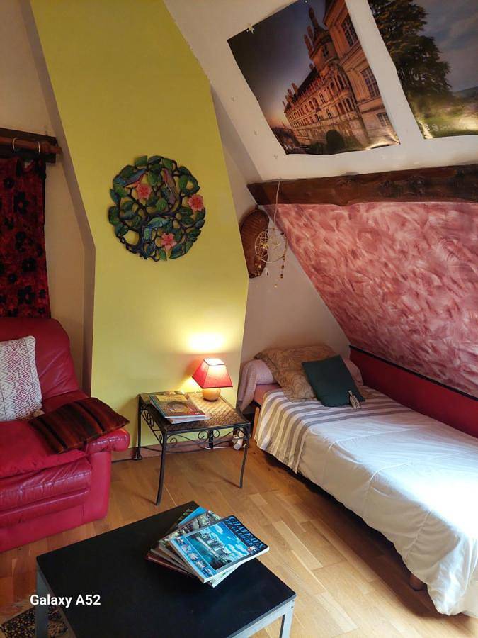 Chambre d’hôte pour 5 personnes, avec jardin en Indre-et-Loire - 2
