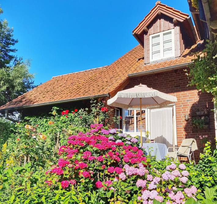 Ferienwohnung für 2 Personen, mit Terrasse und Garten in Detmold - 4