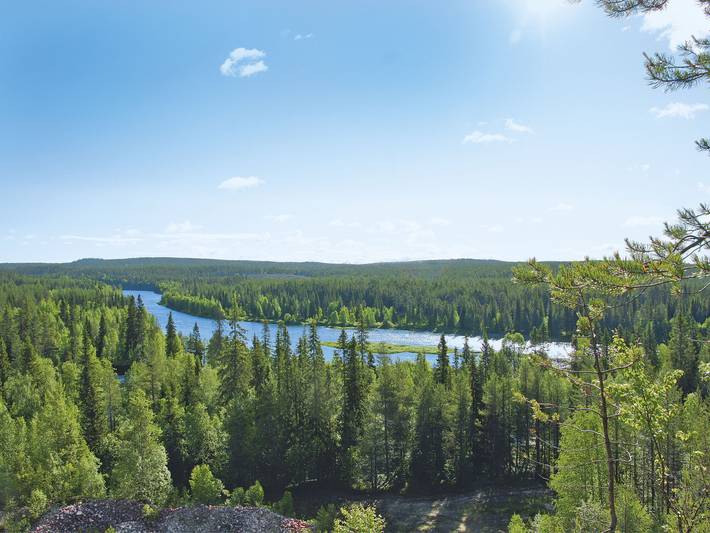 Karpalo in Taivalkoski