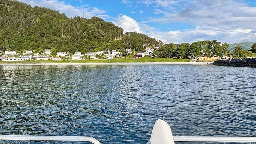 Ferienhaus für 10 Personen, mit Terrasse in Selje - 3