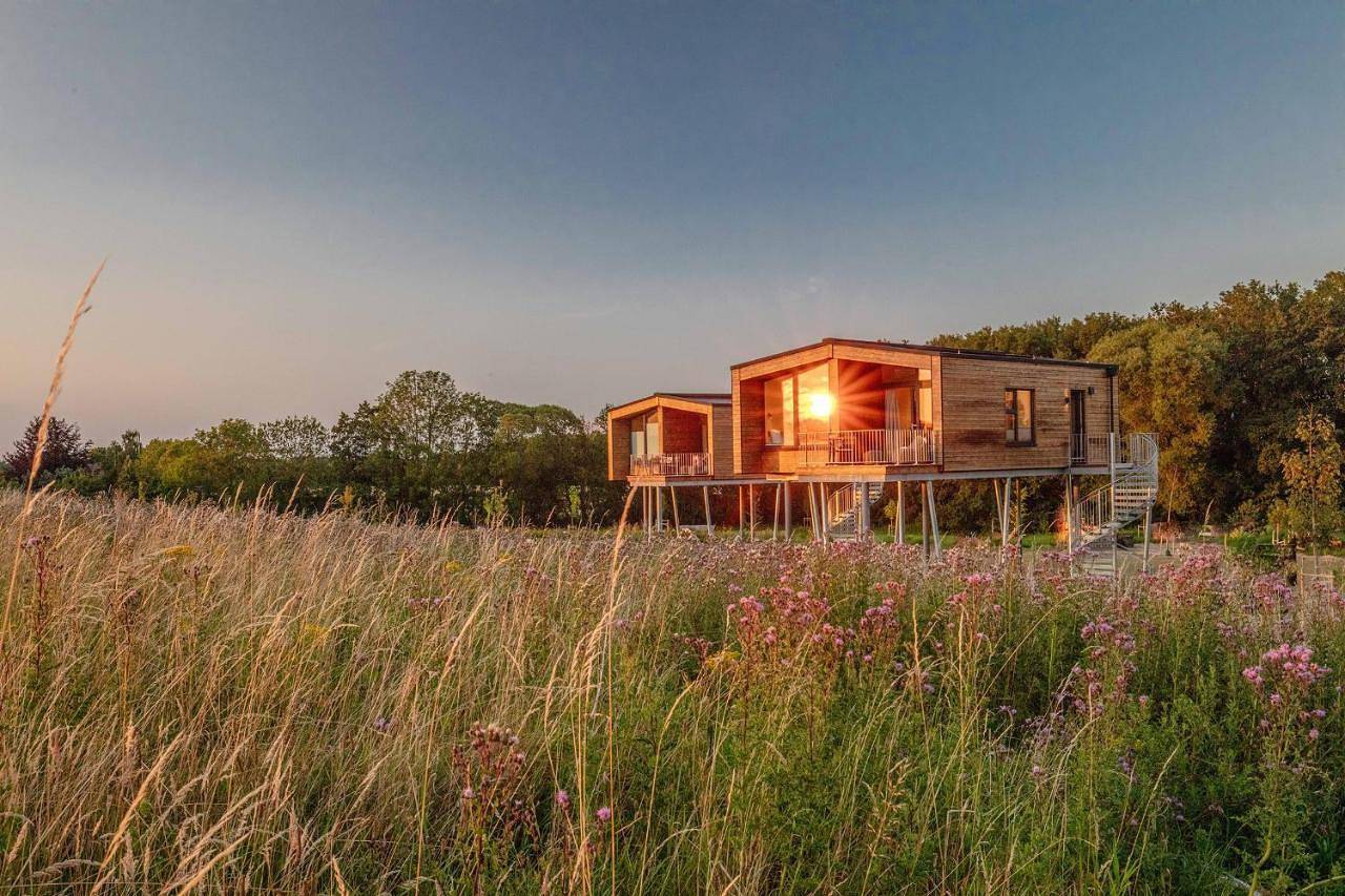 Ostsee Baumhaushotel - Auf Höhe der Baumkronen in Wangels, Hohwachter Bucht