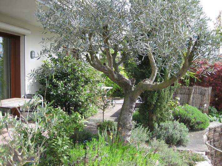 Ferienwohnung mit 2 Schlafzimmer in Daisendorf, Region Bodensee-Oberschwaben