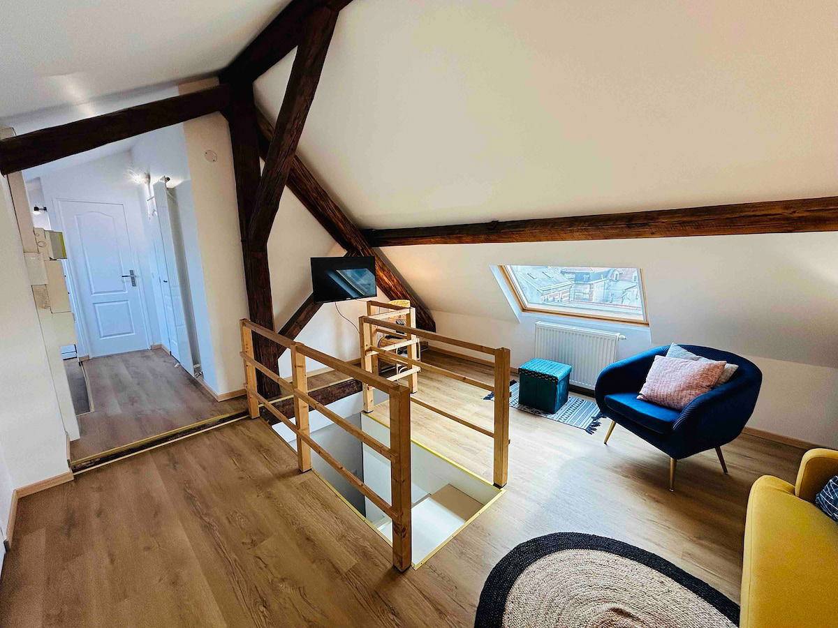 Entire apartment, Les Toits de Thillois | Hypercentre | Erlon in Reims, Marne