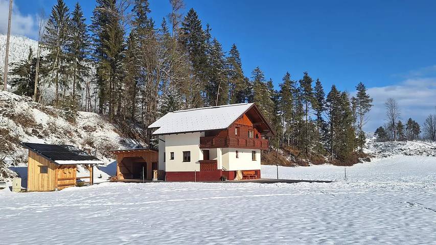 Ferienhaus für 7 Personen, mit Sauna und Garten, mit Haustier - 1