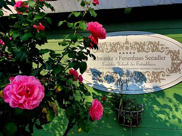 Ferienhaus für 6 Personen, mit Garten und Sauna in Ummanz - 2