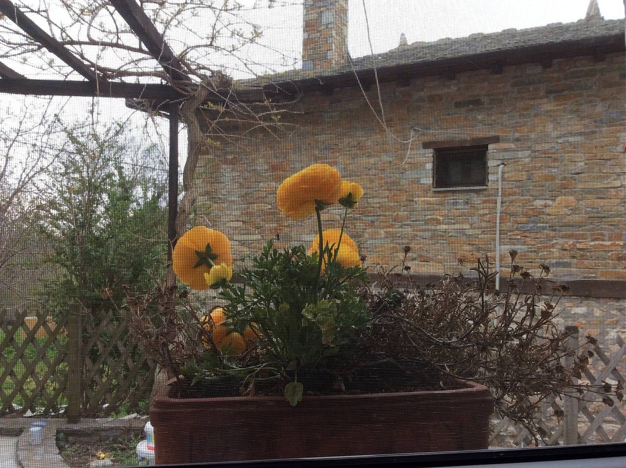 Milieshome in Pilion
