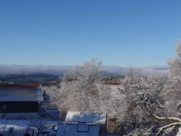 Ferienwohnung für 2 Personen, mit Balkon und Ausblick in Sankt Oswald-Riedlhütte - 3