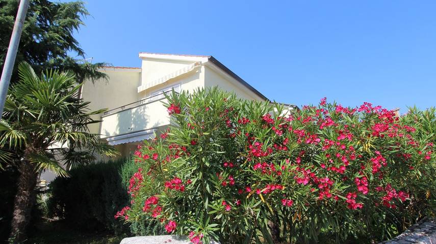 Ferienwohnung für 2 Personen, mit Balkon/Terrasse, mit Haustier in Kroatien - 4