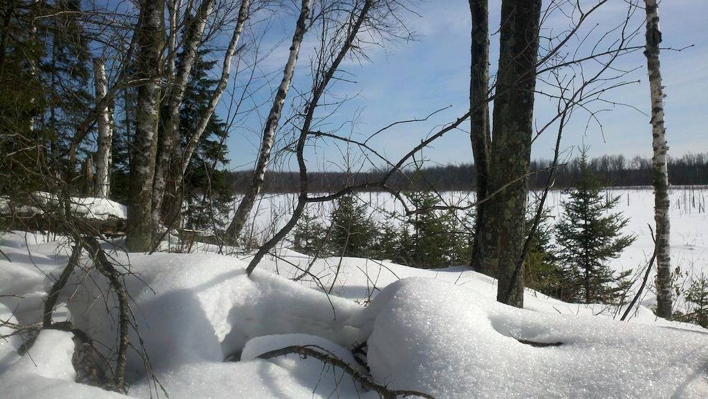 Haustierfreundliche Hütte auf den Wiesen am Waldrand mit großen Fenstern in Aitkin County
