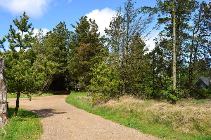 Chalet für 5 Personen, mit Terrasse in Dänemark - 2