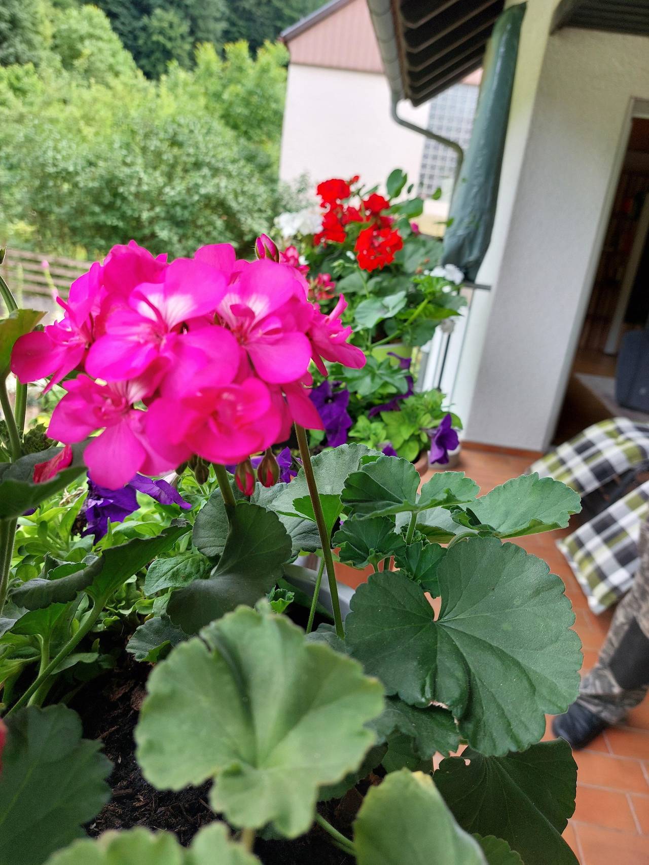 Ganze Ferienwohnung, Appartement/Fewo, Dusche und Bad, Wc, Nichtraucher in Pirmasens, Landkreis Südwestpfalz