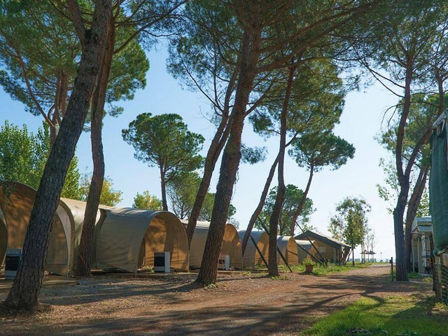 Camping Punta Navaccia  - Zelt 4 personen - Coco Sweet - ohne Sanitäranlagen in Tuoro sul Trasimeno, Lago Trasimeno