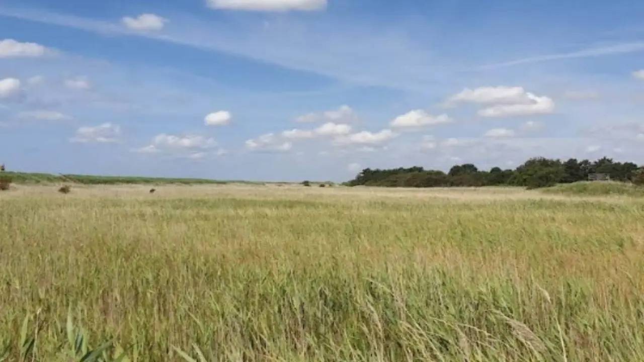 Ferienhaus für 4 Personen (51 m²) in Millinge in Millinge, Kleiner Belt