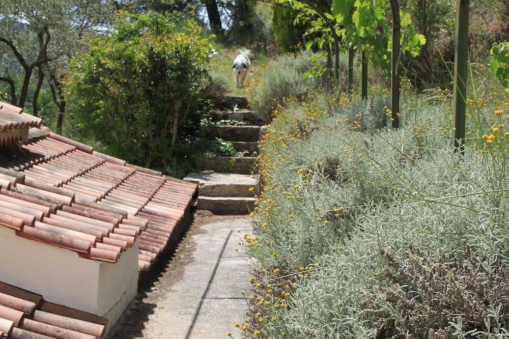 A haven of peace in Provence in Barjols, Brignoles region