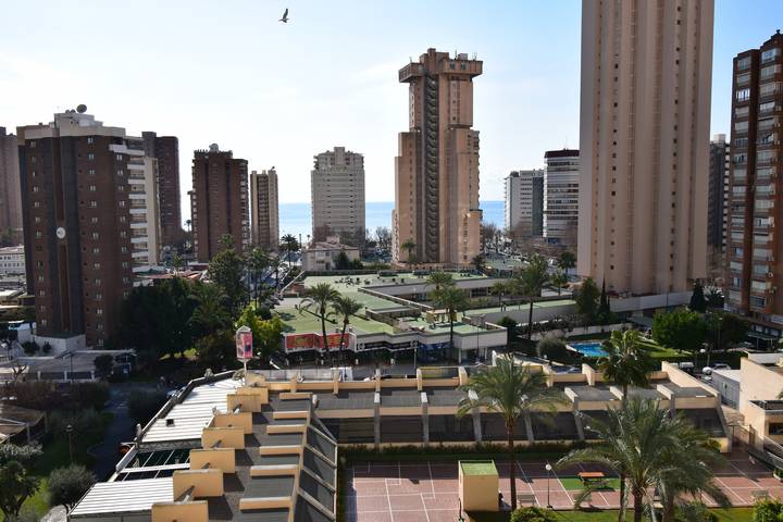 Apartamento entero, Gemelos 20 12D in Benidorm, Costa Blanca