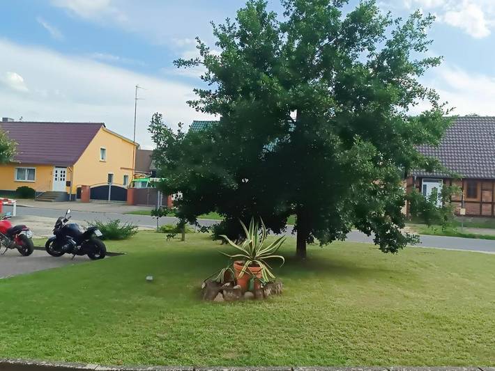 B&B für 3 Personen, mit Ausblick in Brandenburg - 3