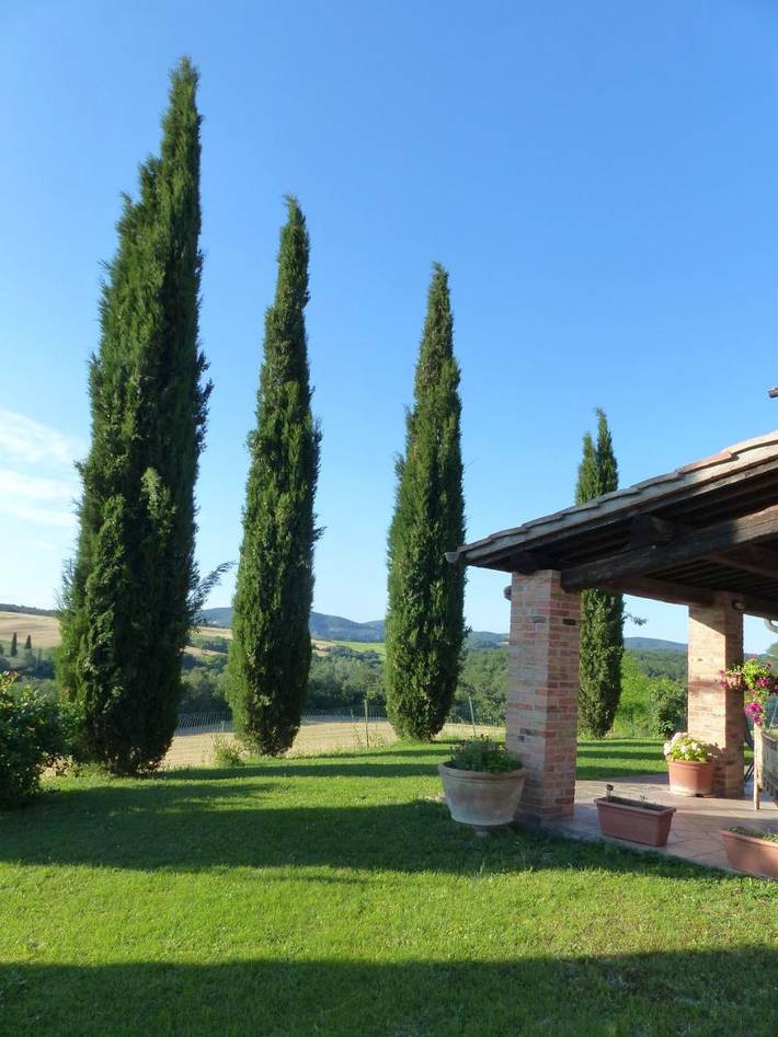 Maison d’hôte pour 3 personnes, avec jardin et vue en Toscane - 2