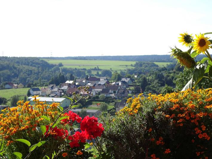 Ganze Ferienwohnung, Ferienwohnung Panorama - Ferienwohnung in Frankenblick, Thüringer Wald