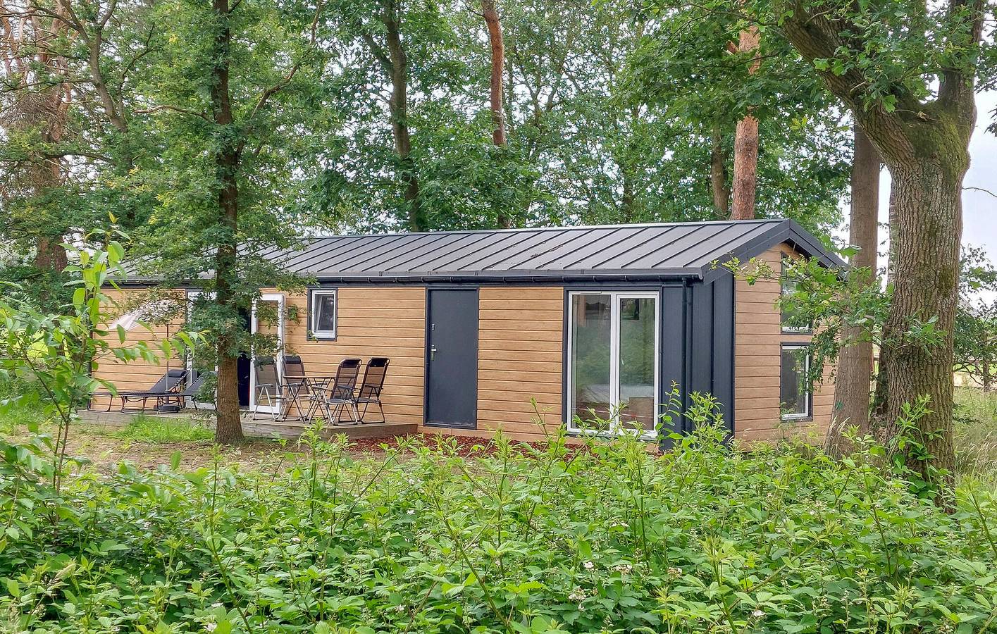 Ferienhaus für 4 Personen mit Terrasse in Sallandse Heuvelrug