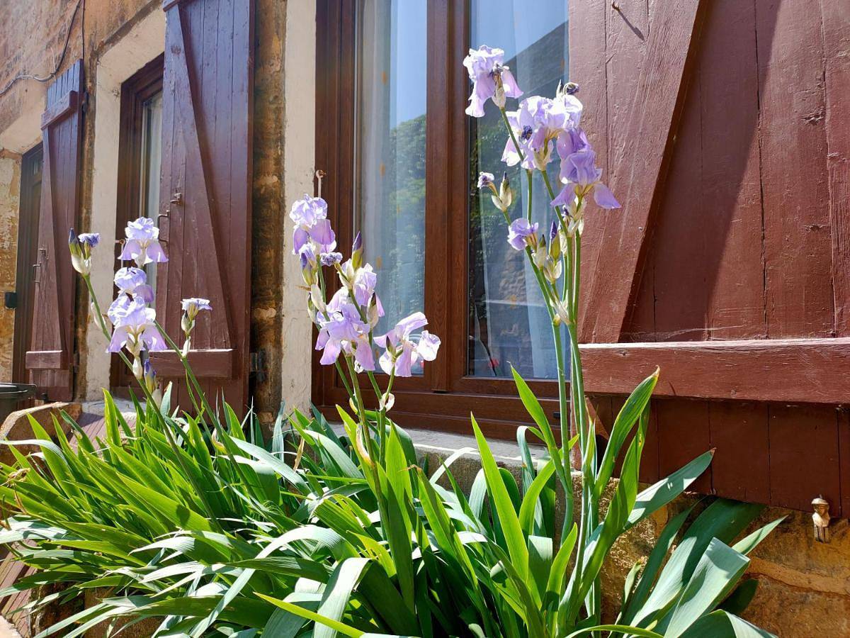 Three-Bedroom House in Mouzon, Ardennes