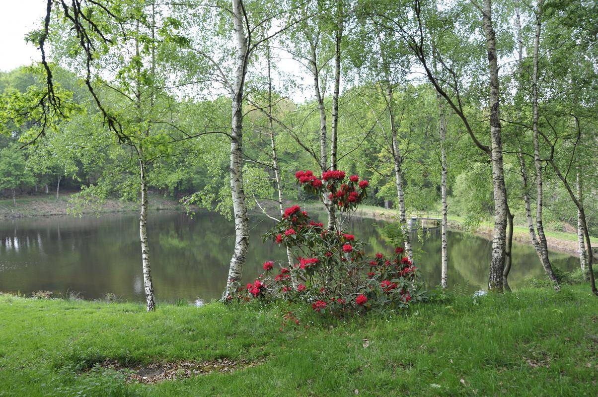 La Ferme de La Besse - Nature in Les Billanges, Región de Limoges