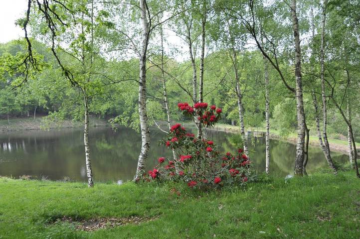 Chambre d’hôte pour 10 personnes, avec jardin dans Haute-Vienne - 2
