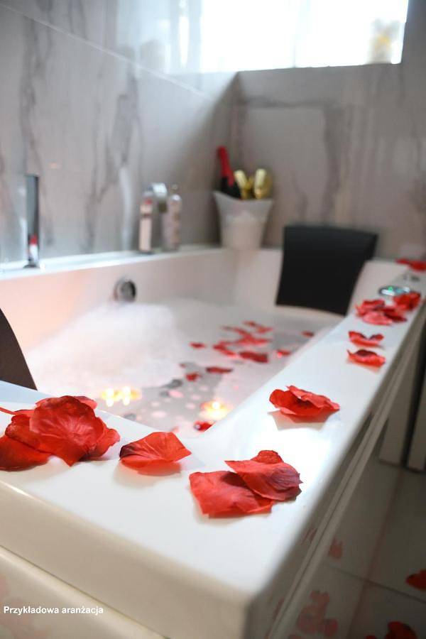 Apartament wakacyjny dla 4 osób, z jacuzzi w Boguszów-Gorce