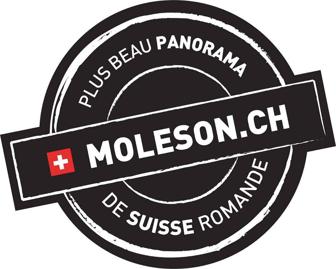 La Pierre à Catillon in Gruyères, Friburgo (cantão)