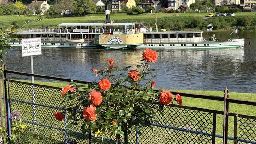 Ferienwohnung für 3 Personen, mit Terrasse in Bastei - 4